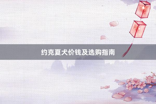 约克夏犬价钱及选购指南