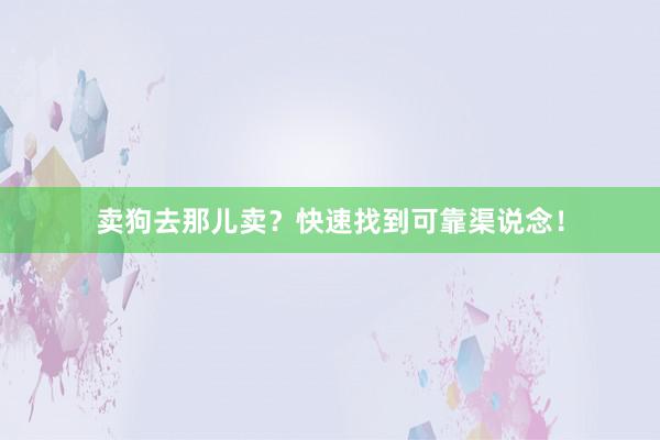 卖狗去那儿卖？快速找到可靠渠说念！